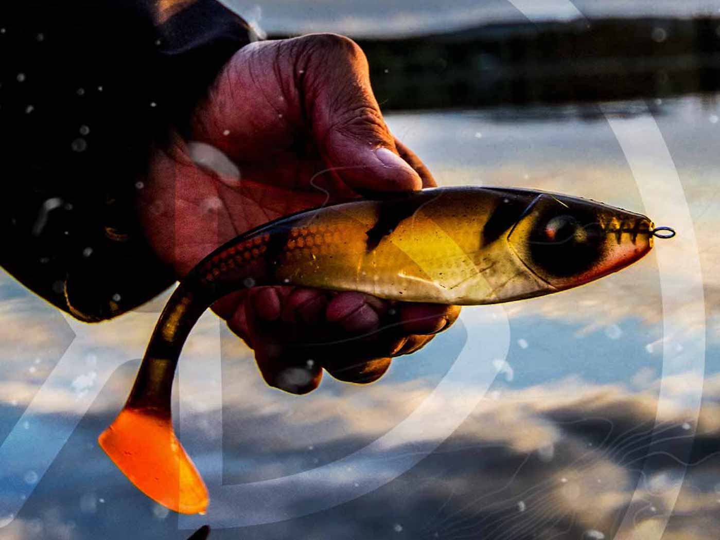 The Art of Lure: Why Swimbaits Are Essential For Pike and Musky Angling
