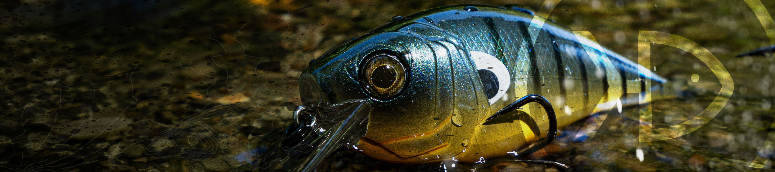 Shallow Diving Crankbaits