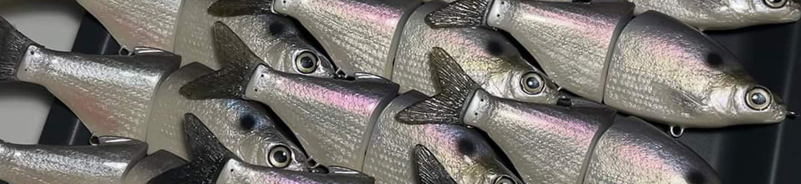 Zorba Baits