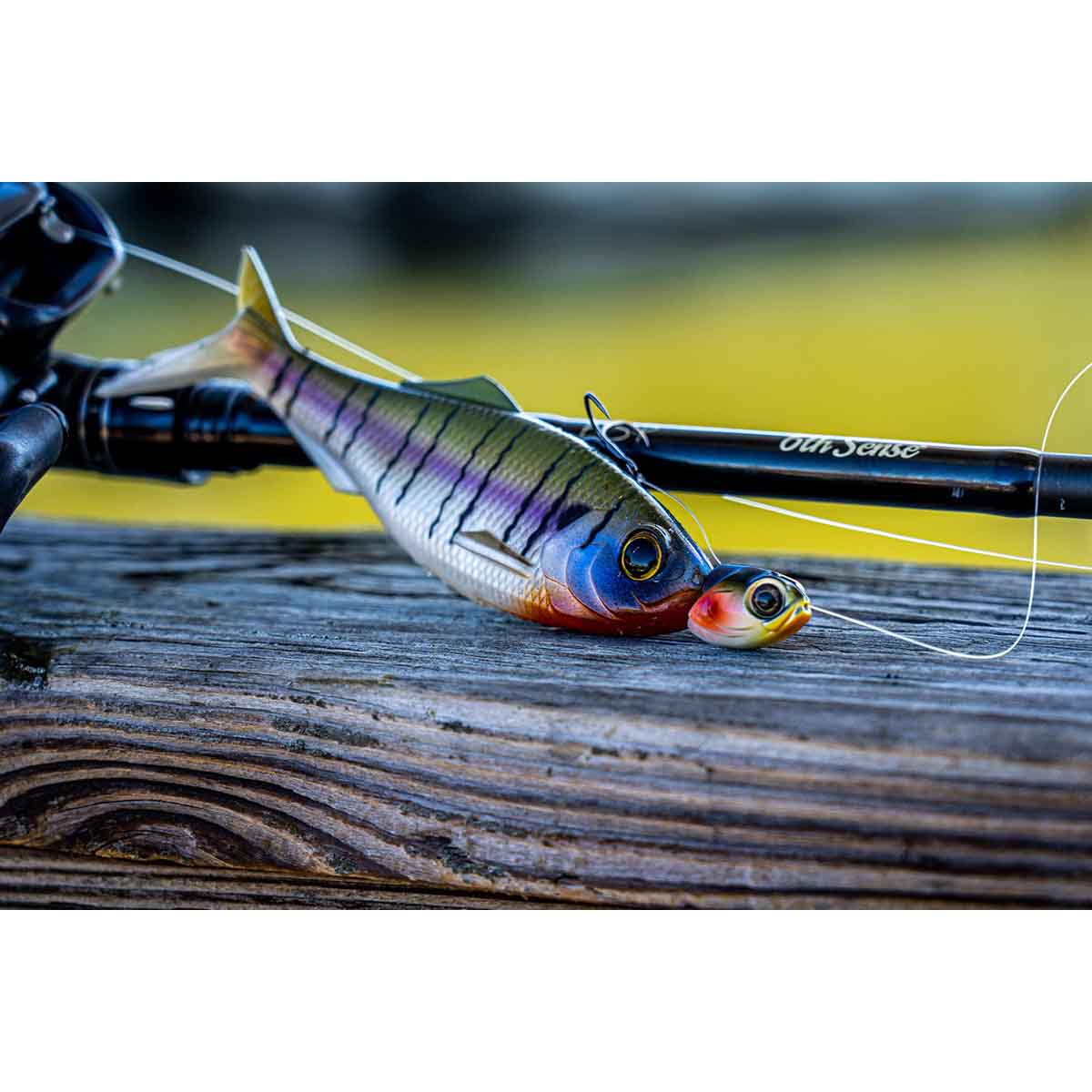 View of Jig Head 6th Sense Line Through Head available at EZOKO Pike and Musky Shop