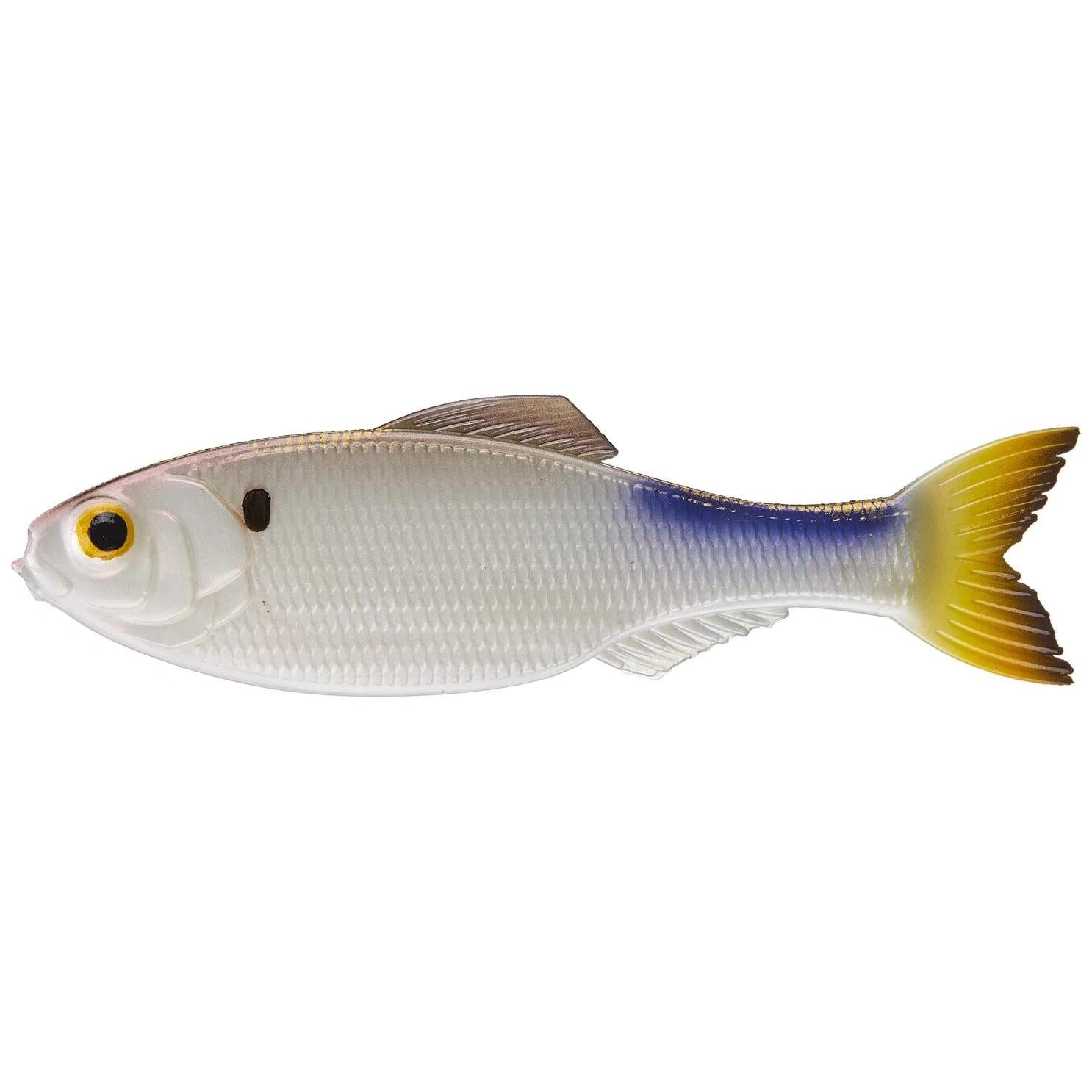 View of 6th Sense Panorama Minnow Bait 2in - 8pk 4K Shad available at EZOKO Fishing