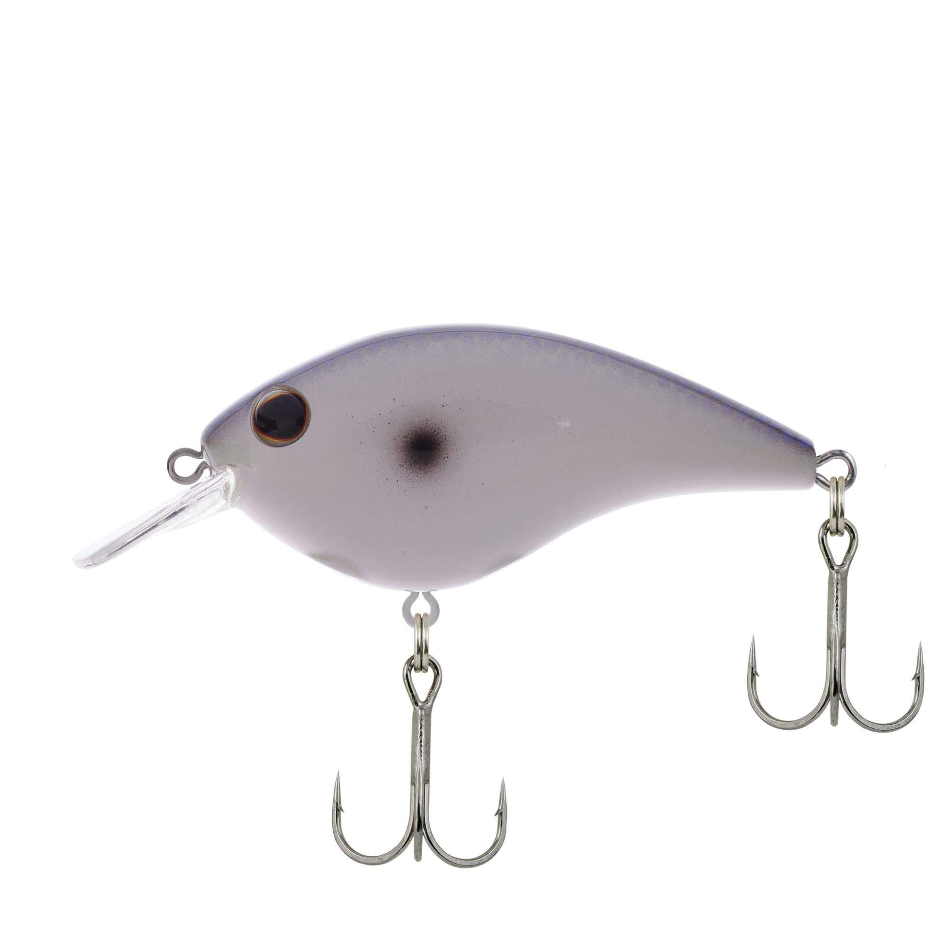 View of Crankbait Berkley Frittside Crankbait Kentucky Blue available at EZOKO Pike and Musky Shop
