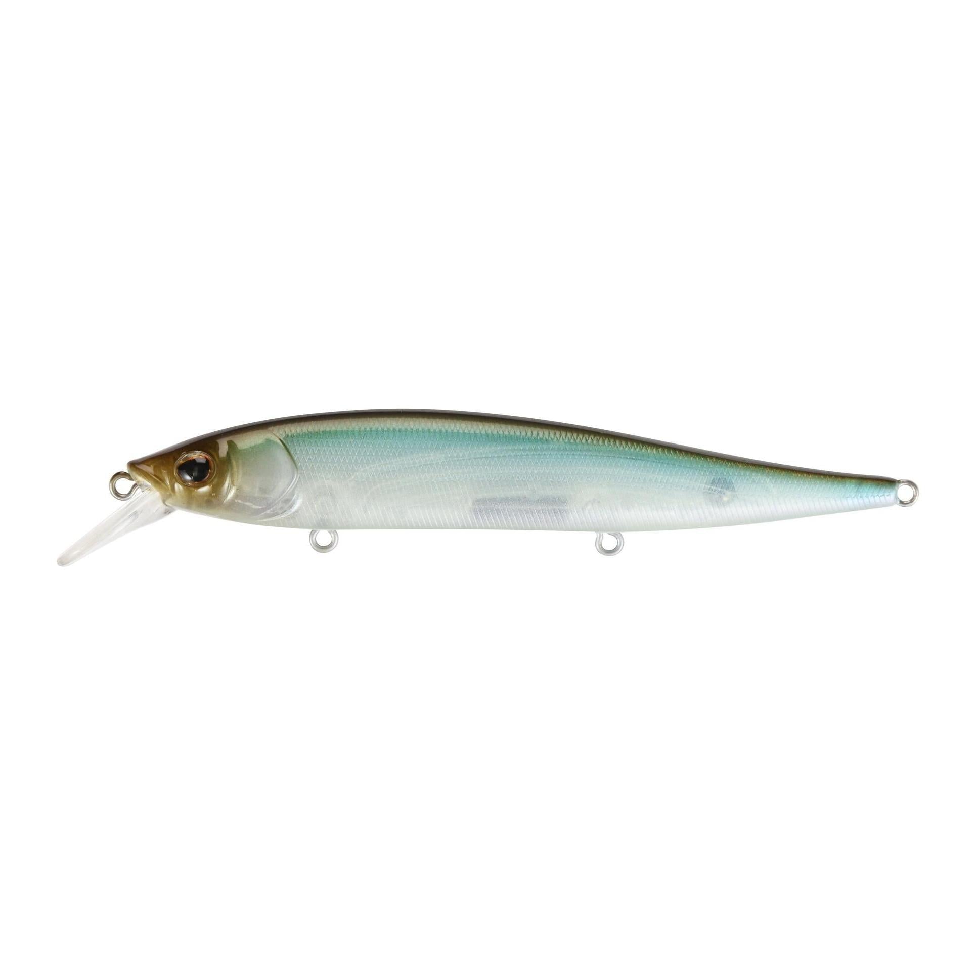 View of Jerkbait Berkley Stunna 112+2 Jerkbait Stealth Minnow available at EZOKO Fishing