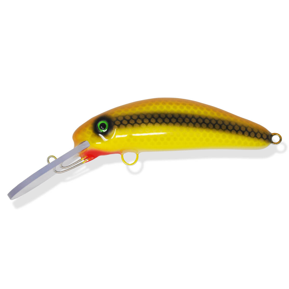 View of Crankbaits Blue Water Baits 6” Fat Herring Pro Crankbait Goldie / White Belly available at EZOKO Fishing