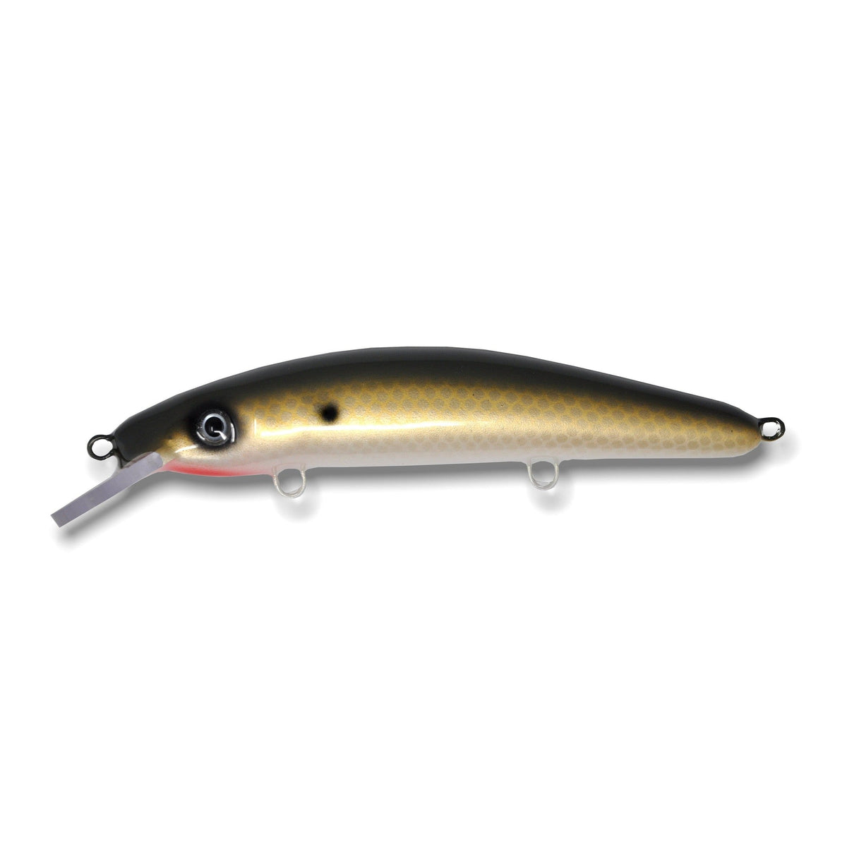 View of Crankbaits Blue Water Baits 9" cisco - shallow Crankbait Gizzard Shad / Pearl Belly available at EZOKO Pike and Musky Shop