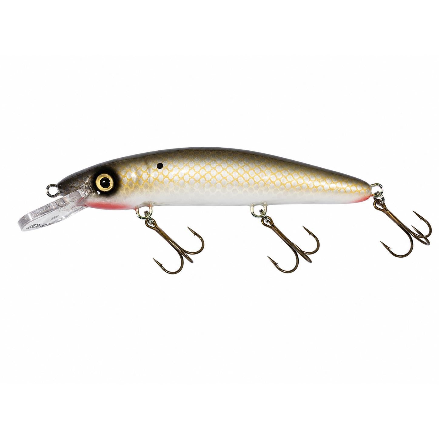View of Crankbaits Blue Water Baits 9" cisco (Synthetic) - shallow Crankbait Tenesse Shad / White Belly available at EZOKO Fishing