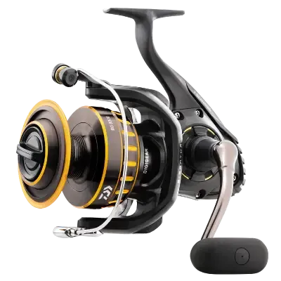 View of Spinning_Reels Daiwa Bg Spinning Reel available at EZOKO Pike and Musky Shop