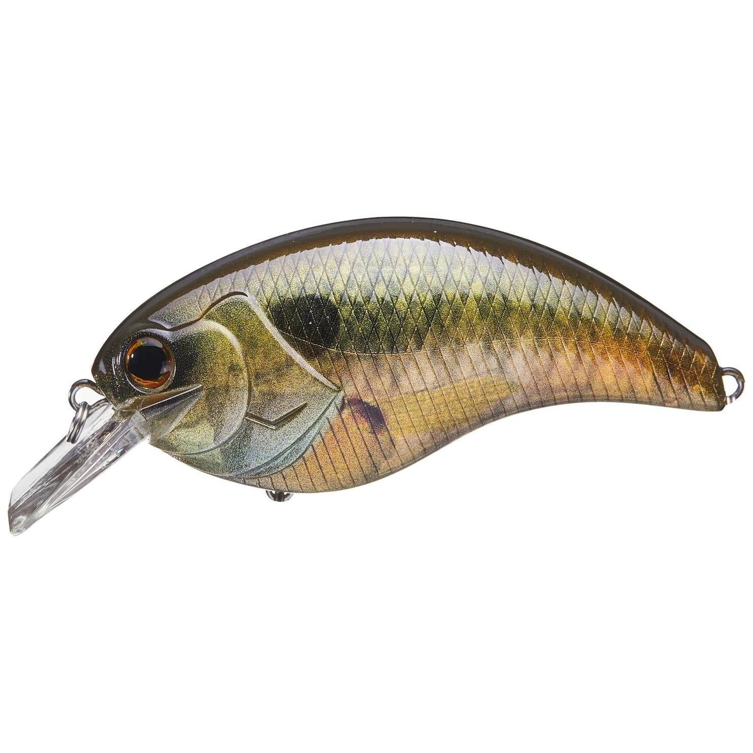 View of Crankbaits Deps Evoke 4.0 Crankbait Scum Pearch available at EZOKO Fishing
