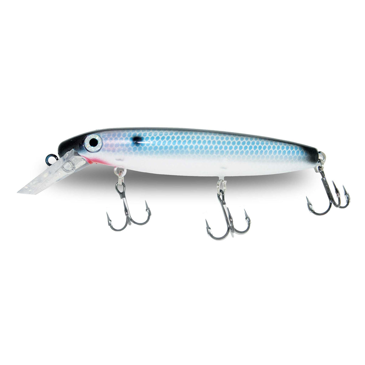 Joe Bucher Depth Raider Blue Back Shad Crankbaits