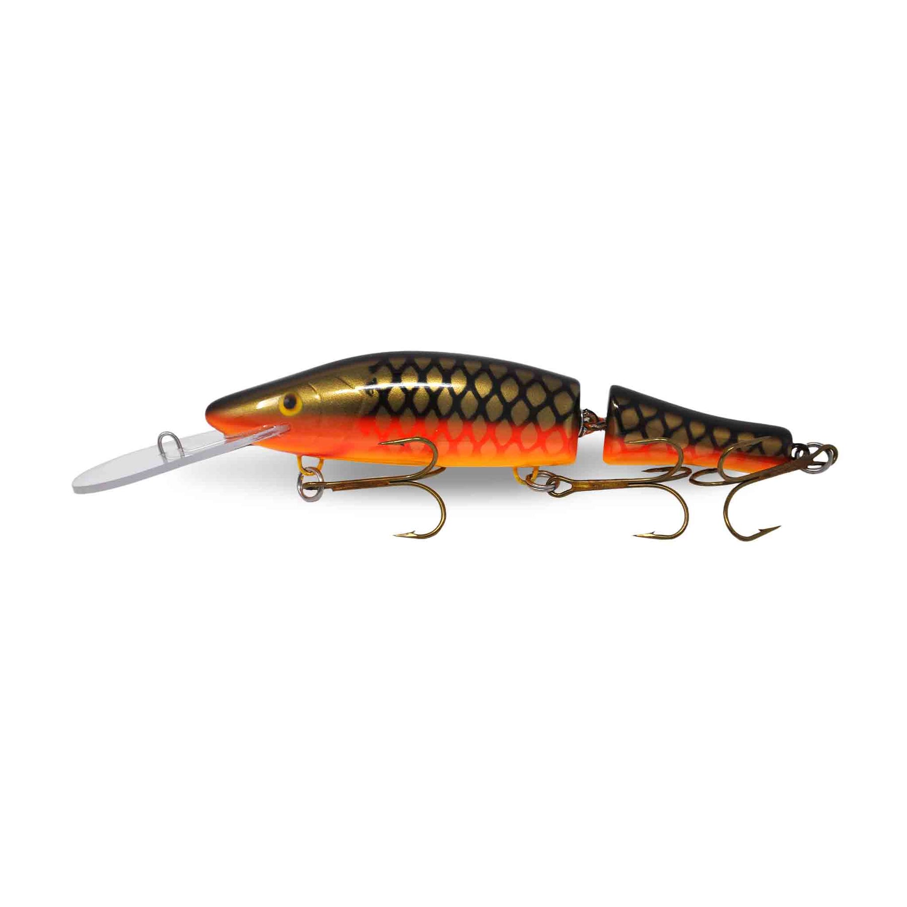 View of Crankbaits Legend lures Jointed Perch Bait Crankbait Carp available at EZOKO Pike and Musky Shop