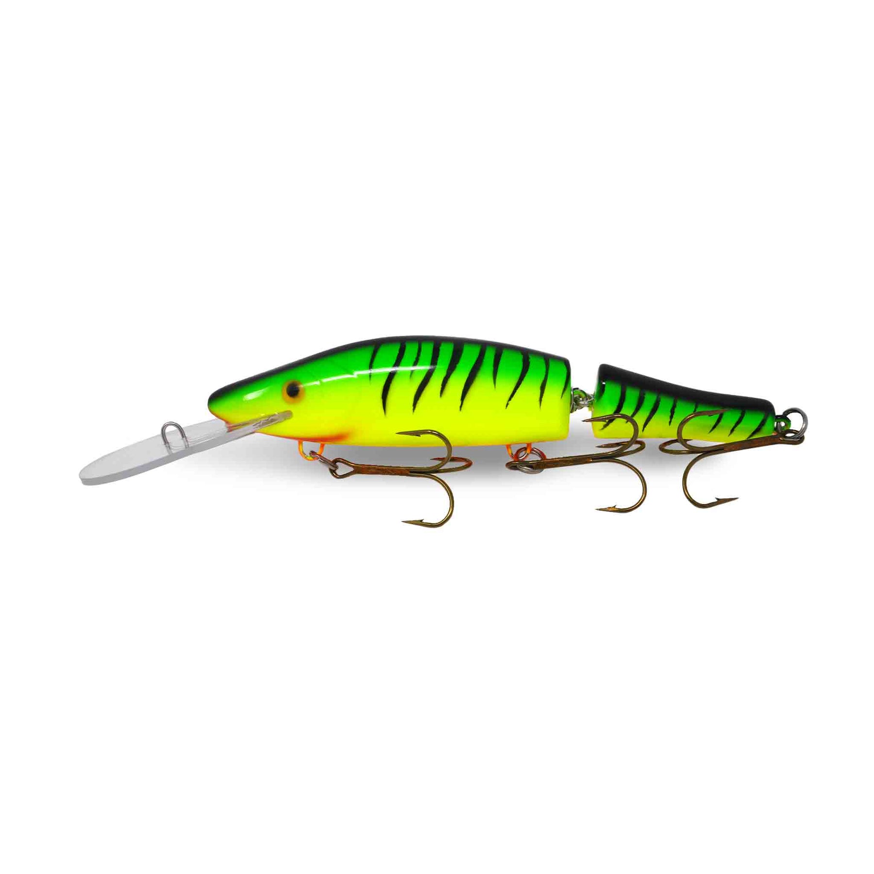 View of Crankbaits Legend lures Jointed Perch Bait Crankbait Fire Tiger available at EZOKO Pike and Musky Shop