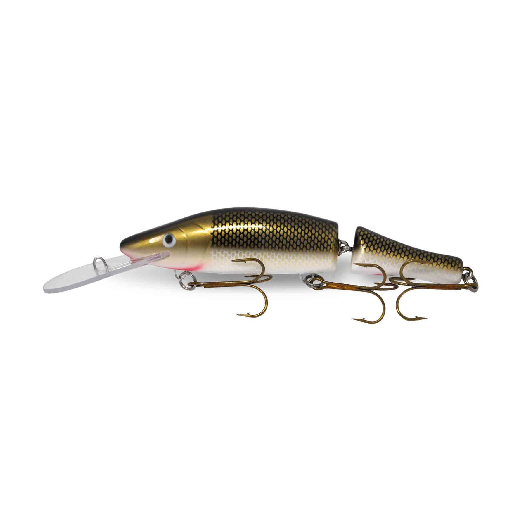 View of Crankbaits Legend lures Jointed Perch Bait Crankbait Golden Sucker available at EZOKO Pike and Musky Shop