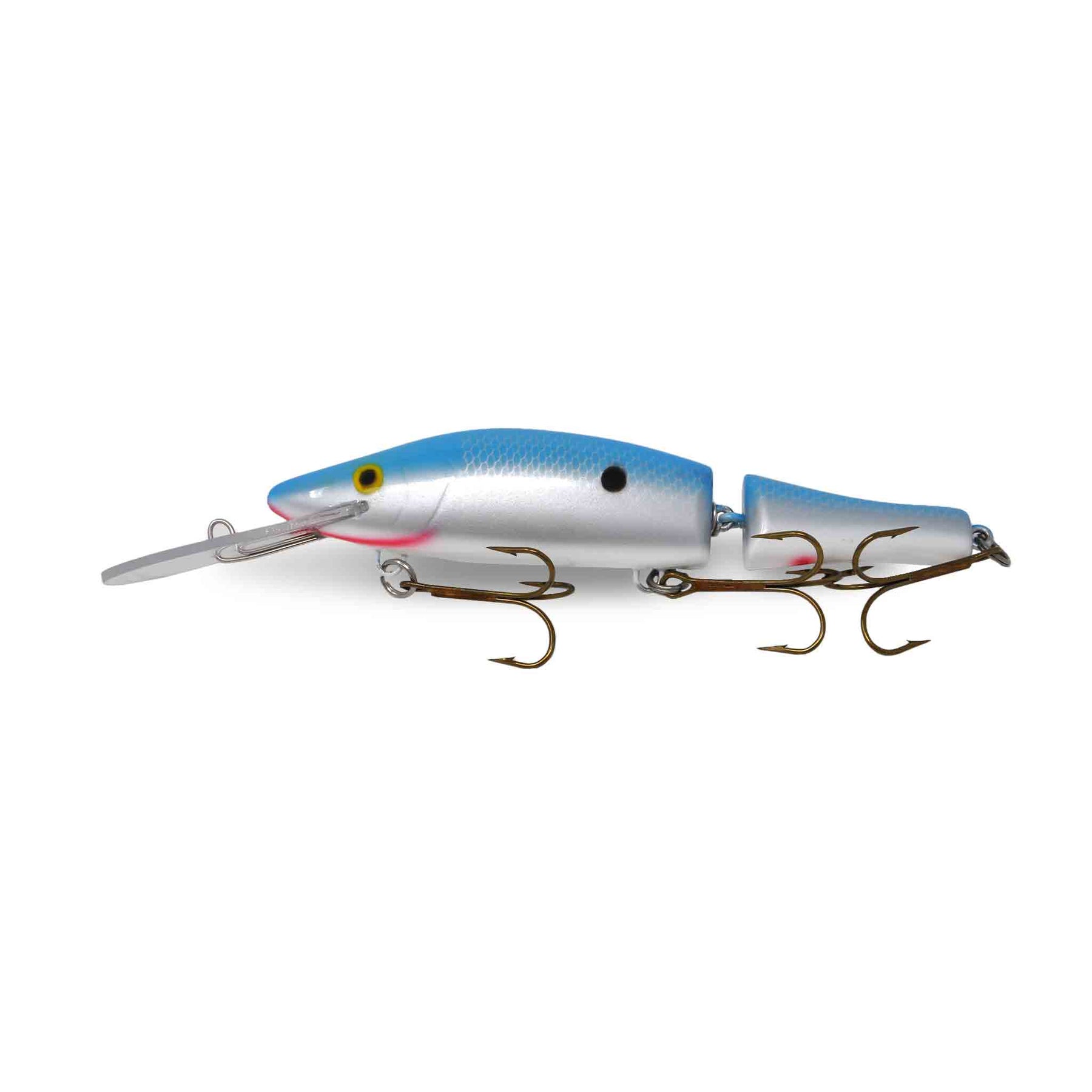 View of Crankbaits Legend lures Jointed Perch Bait Crankbait Naturel Shad available at EZOKO Pike and Musky Shop