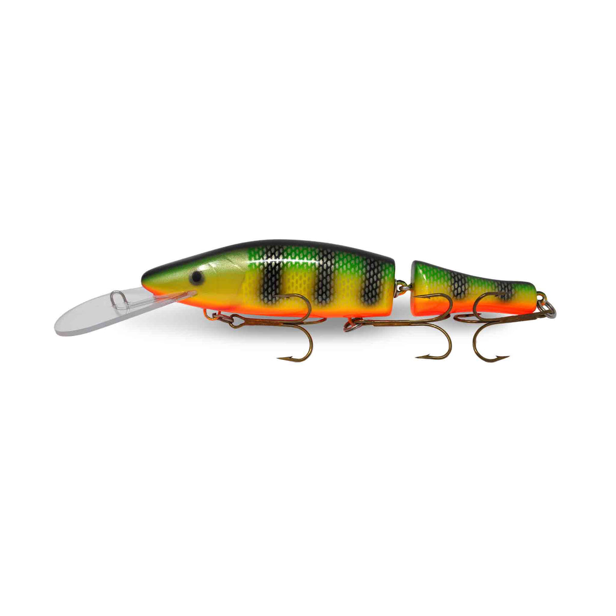 View of Crankbaits Legend lures Jointed Perch Bait Crankbait Perch / Orange Belly available at EZOKO Pike and Musky Shop