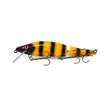 View of Crankbaits Legend lures Outcast Crankbait Jailbird available at EZOKO Pike and Musky Shop