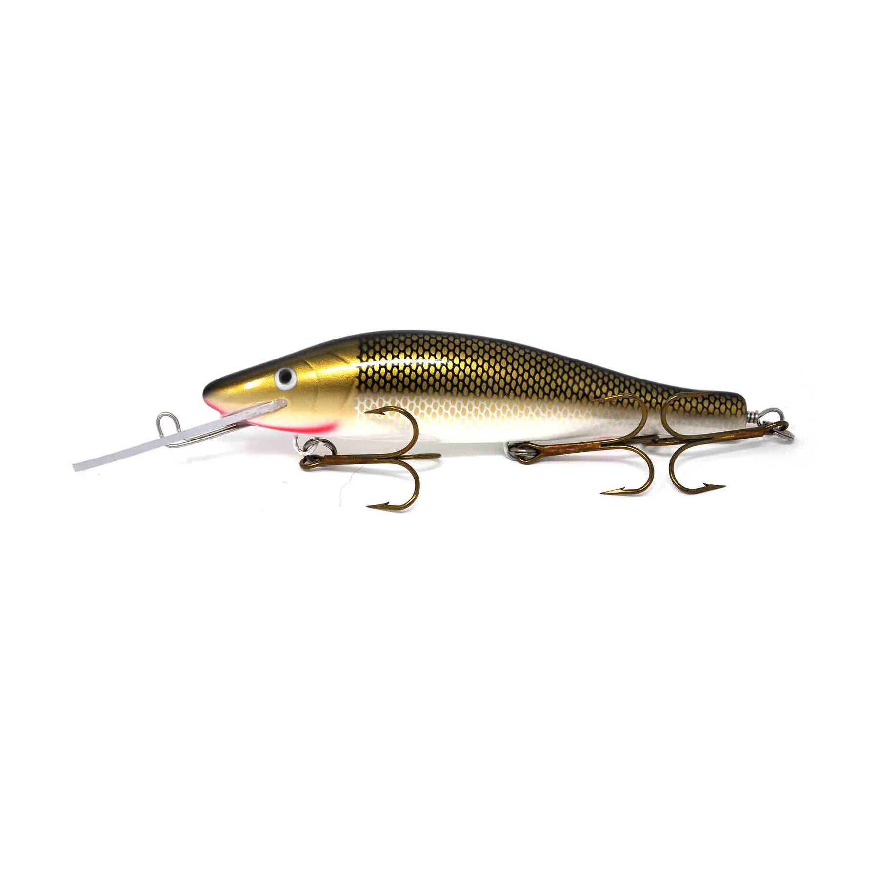 View of Crankbaits Legend lures Perch Bait Crankbait Golden Sucker available at EZOKO Pike and Musky Shop