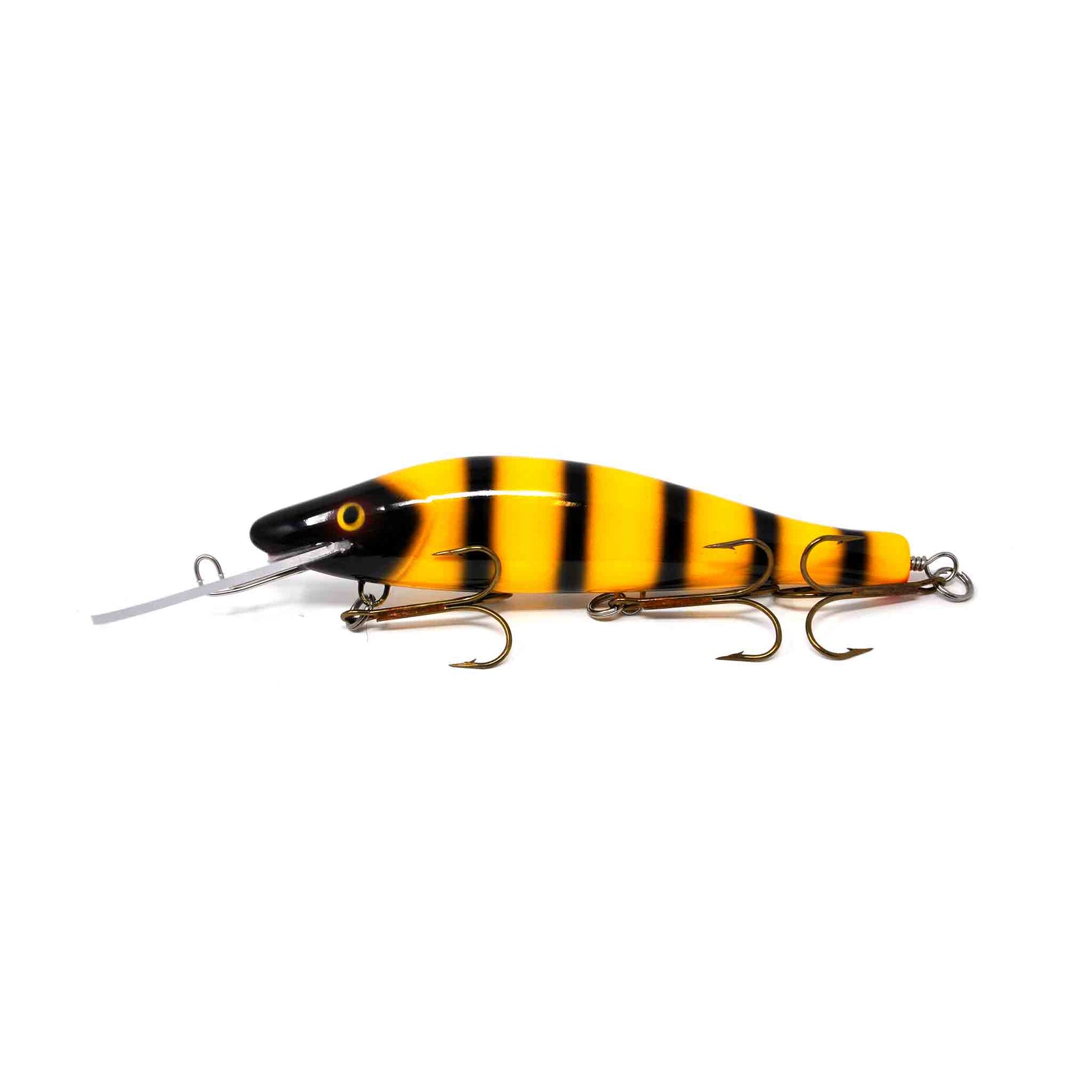 View of Crankbaits Legend lures Perch Bait Crankbait Jailbird available at EZOKO Pike and Musky Shop