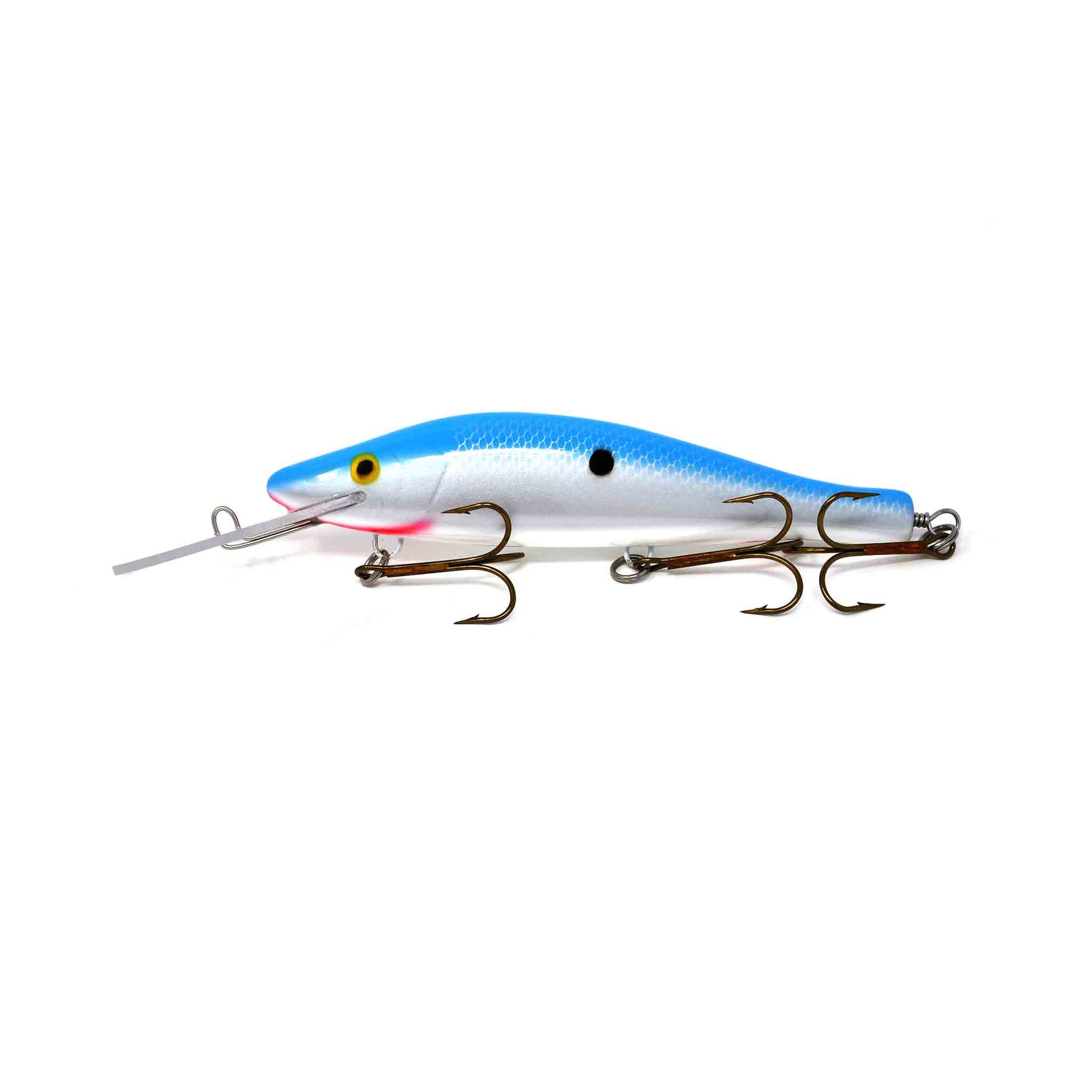 View of Crankbaits Legend lures Perch Bait Crankbait Natural Shad available at EZOKO Pike and Musky Shop