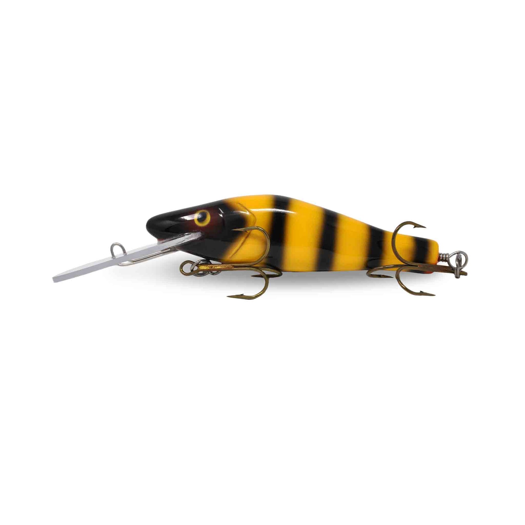 View of Crankbaits Legend lures Perch Bait Jr Crankbait Jailbird available at EZOKO Pike and Musky Shop