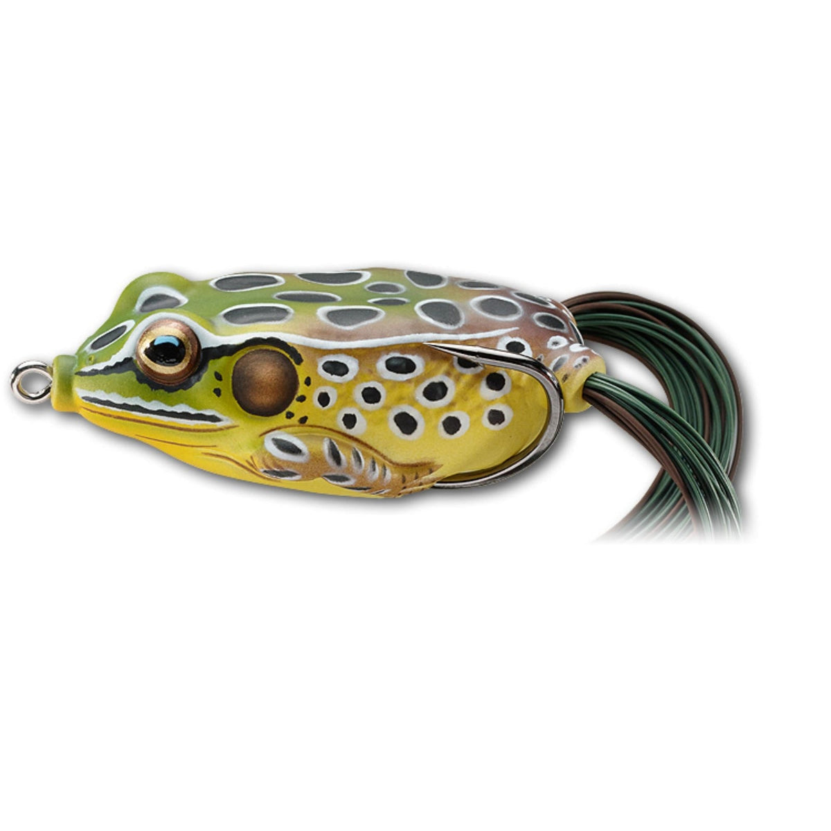 View of Topwater Live Target Hollow Body Frog 2 5/8 Topwater Bait Emerald/Brown available at EZOKO Fishing
