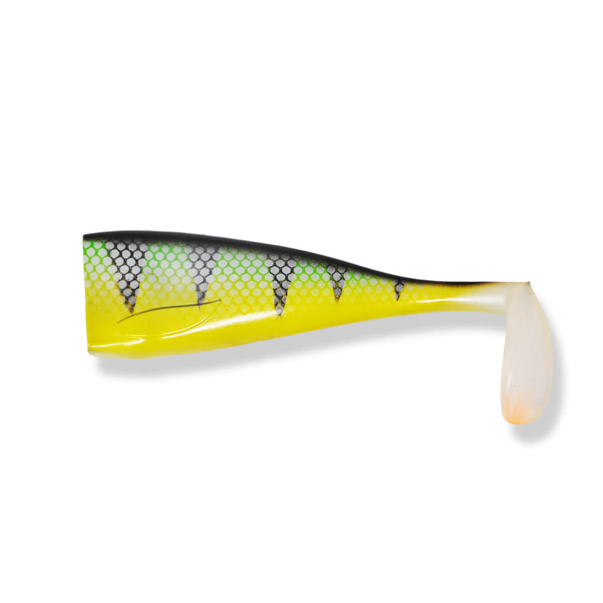 View of Replacement_Tails Livingston Magnus Paddle Tail Replacement BB Perch available at EZOKO Fishing