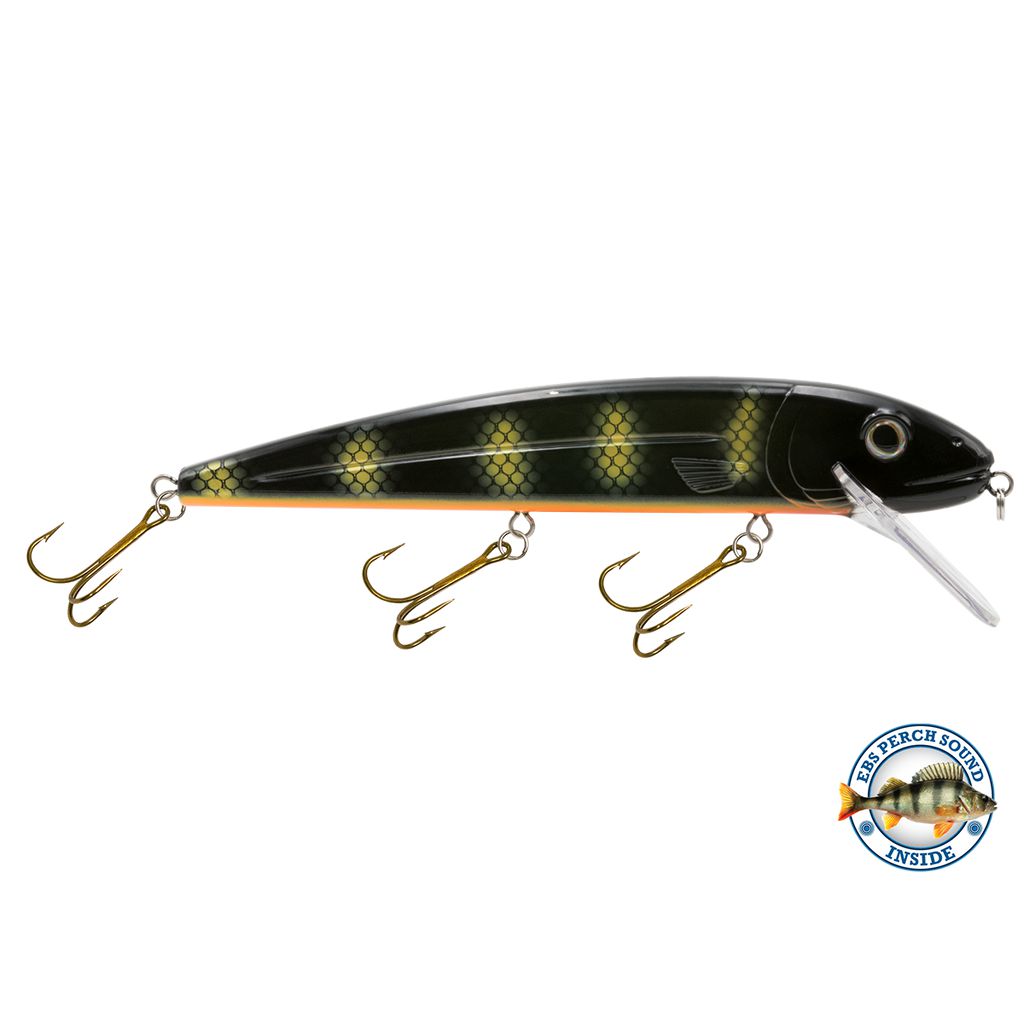 View of Crankbaits Livingston Squeaky Pete 233 Black Perch available at EZOKO Pike and Musky Shop
