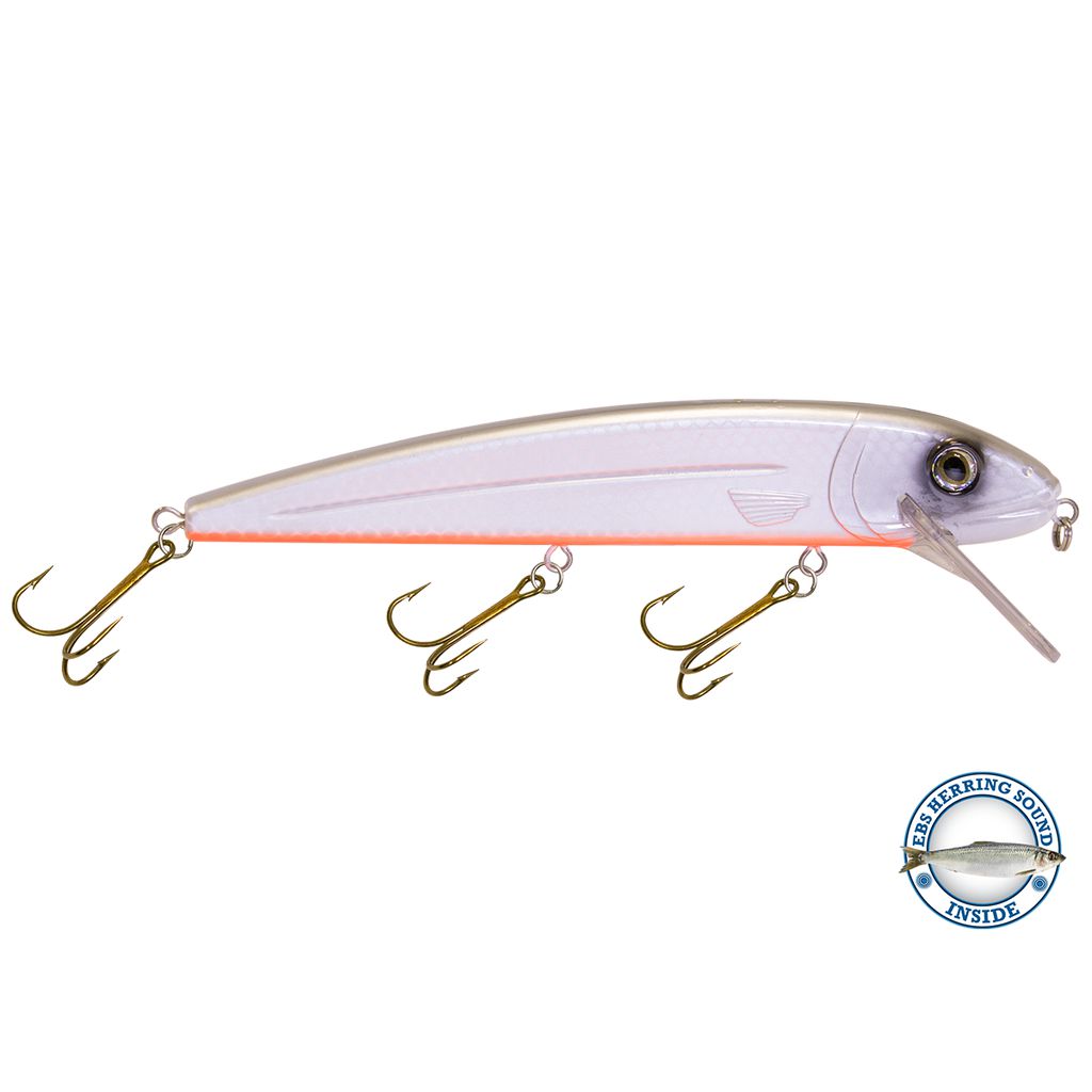 View of Crankbaits Livingston Squeaky Pete 233 Whitefish available at EZOKO Pike and Musky Shop