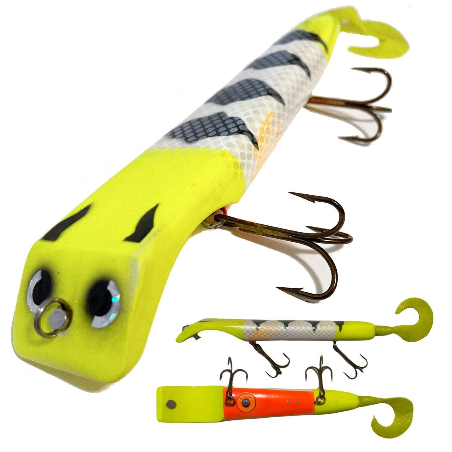 View of Dive_And_Rise Livingston Titan Dive and Rise Brain Damaged EBS Perch available at EZOKO Pike and Musky Shop