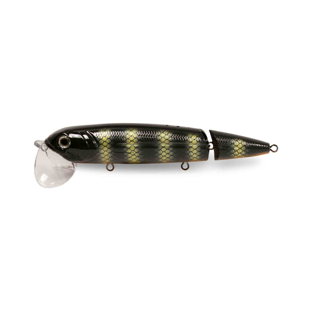 View of Topwater Livingston Walking Boss II Magnum Black Perch EBS PERCH available at EZOKO Pike and Musky Shop