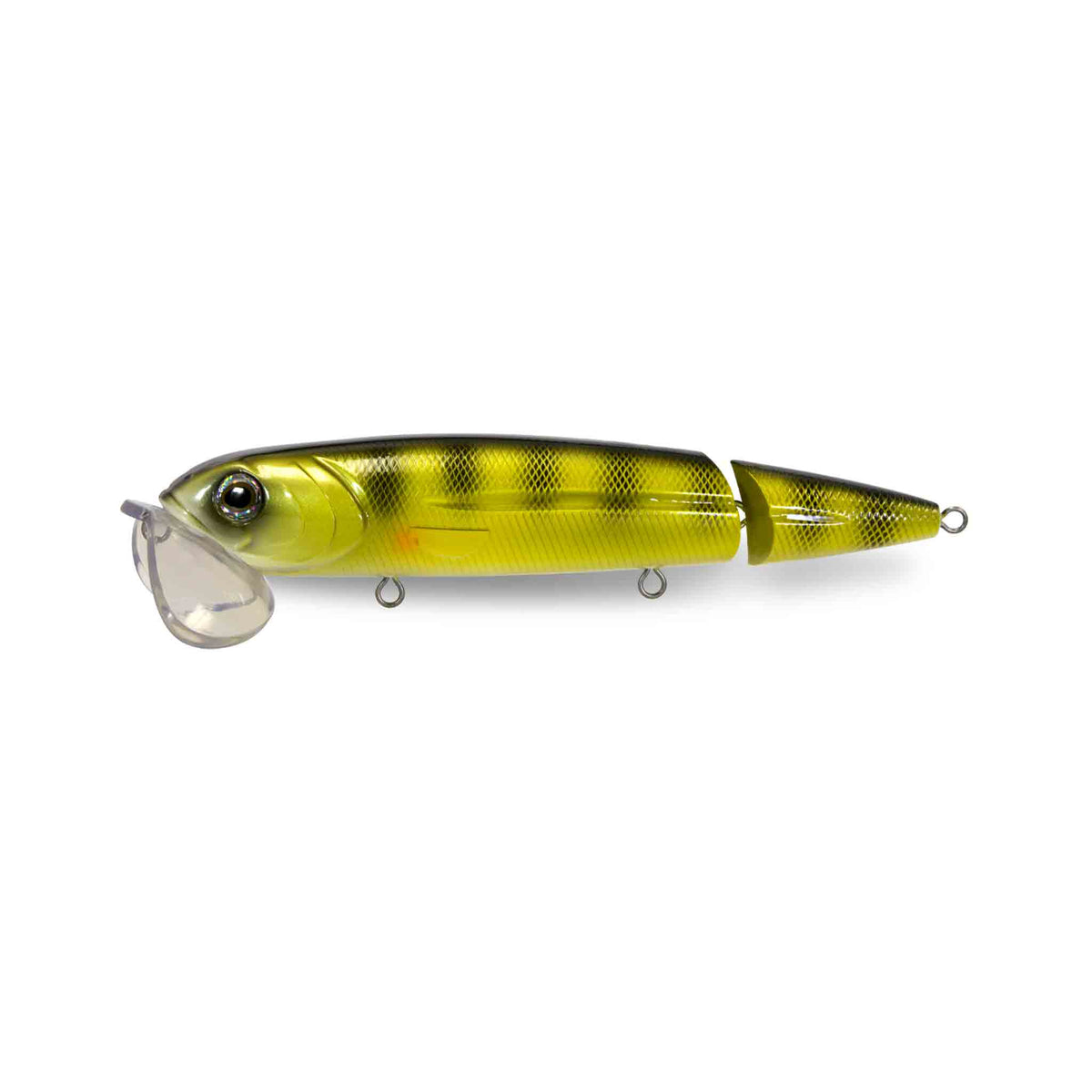 View of Topwater Livingston Walking Boss II Magnum Naturel Perch EBS PERCH available at EZOKO Pike and Musky Shop