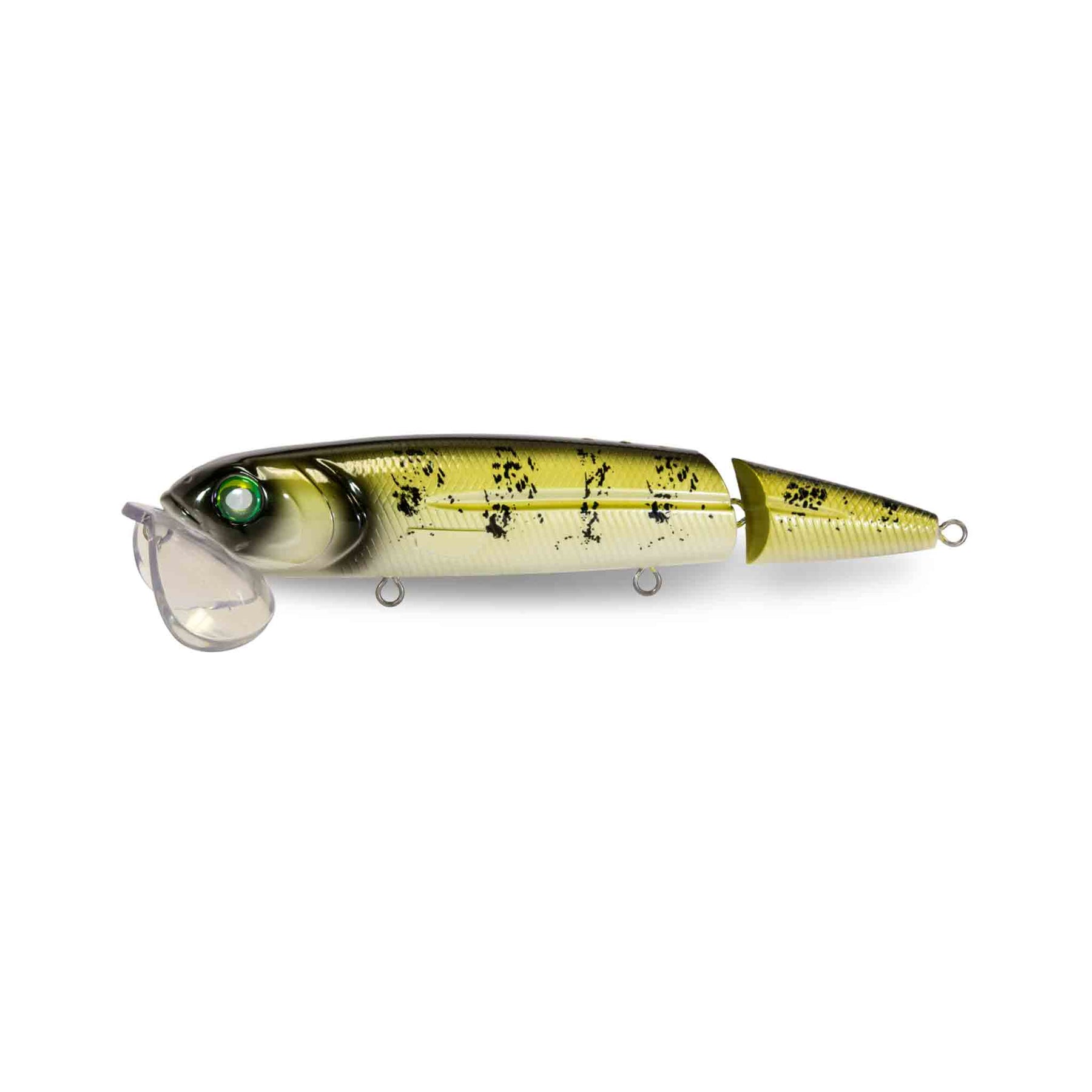 View of Topwater Livingston Walking Boss II Magnum Walleye EBS PERCH available at EZOKO Pike and Musky Shop