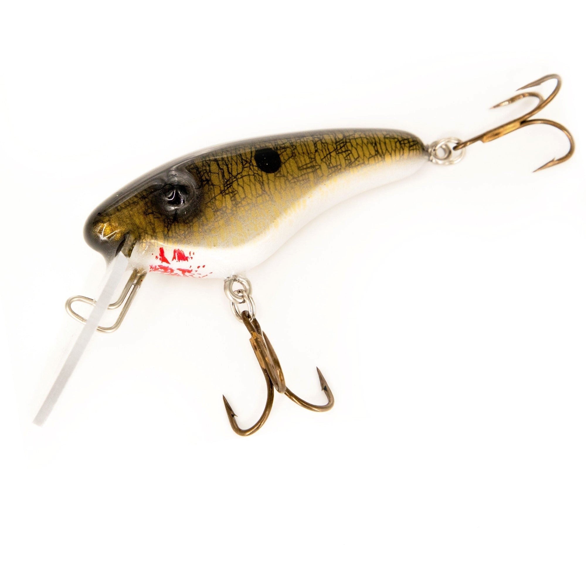 View of Crankbaits Llungen Lures Stray Cat Crankbait Gold Shimmer Shad available at EZOKO Fishing