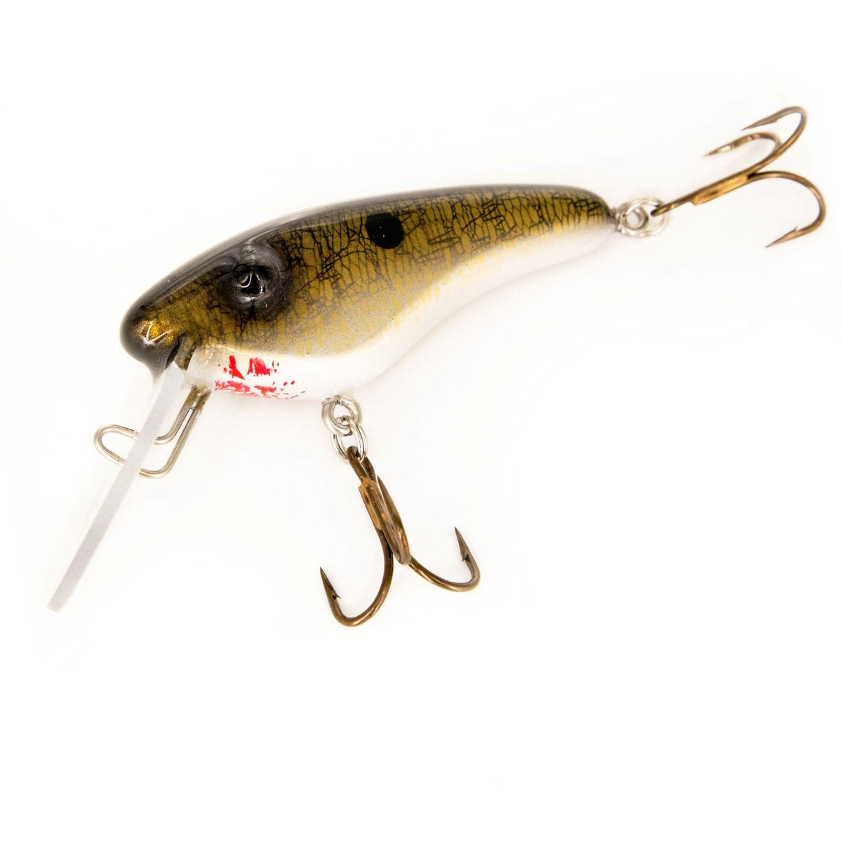 View of Crankbaits Llungen Lures Stray Cat Crankbait Gold Shimmer Shad available at EZOKO Pike and Musky Shop