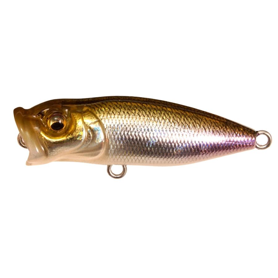 View of Topwater Megabass Baby Pop X BFS Popper Gg Wakasagi available at EZOKO Fishing
