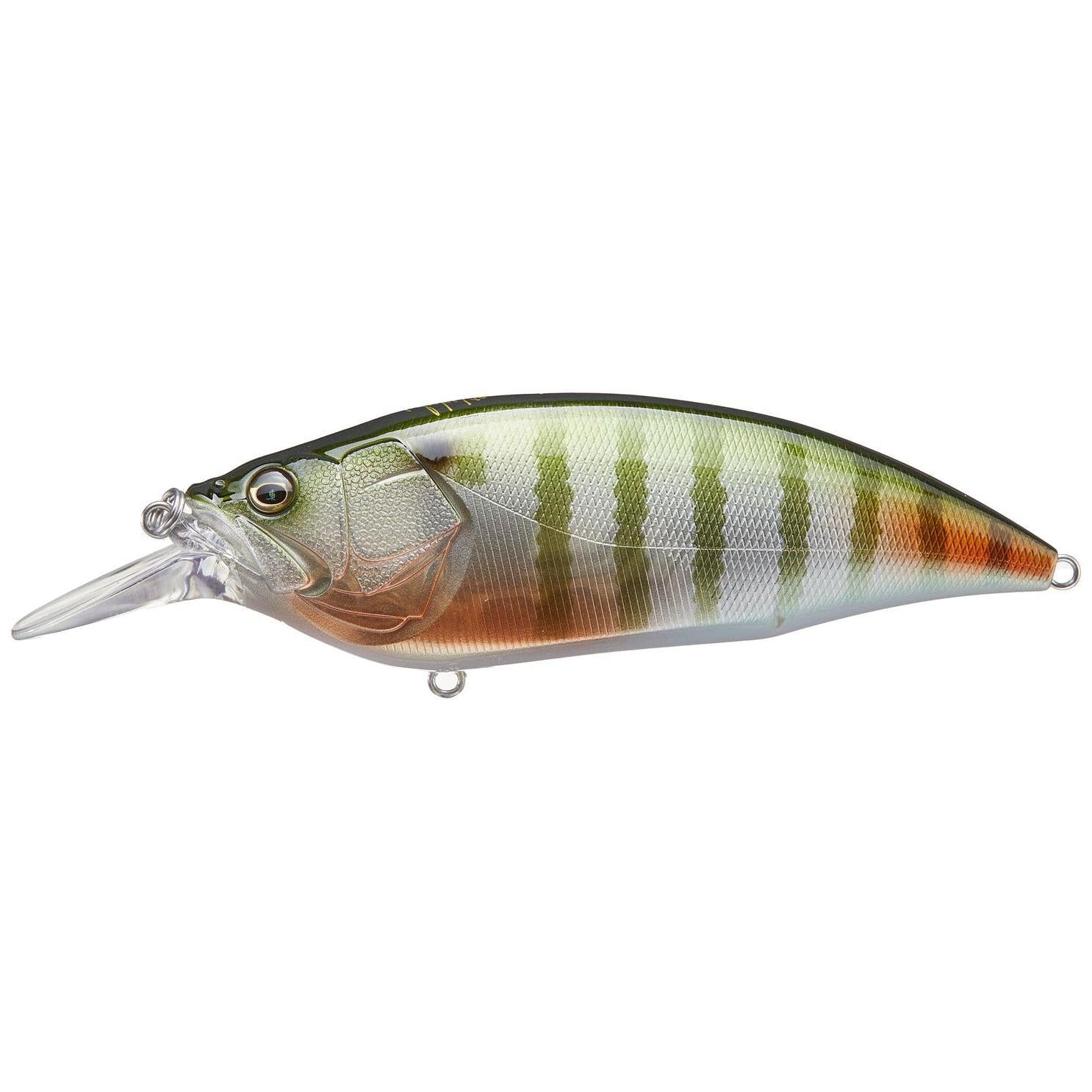 View of Megabass Big-M 4.0 Crankbait PM BG available at EZOKO Fishing