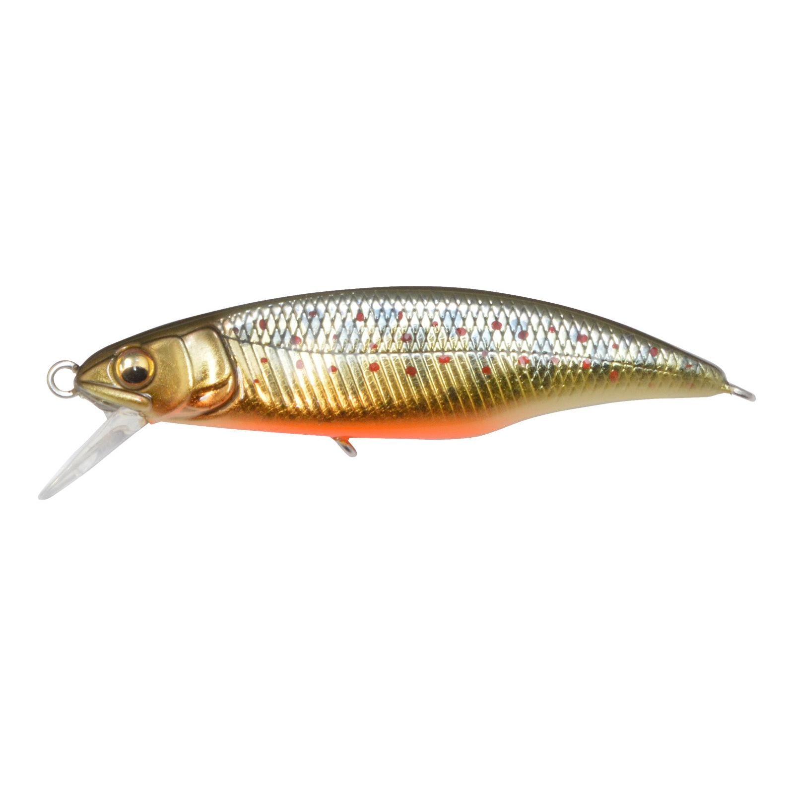 View of Crankbaits Megabass GH50 Flatside Crankbait Takumi Iwana Floating available at EZOKO Fishing