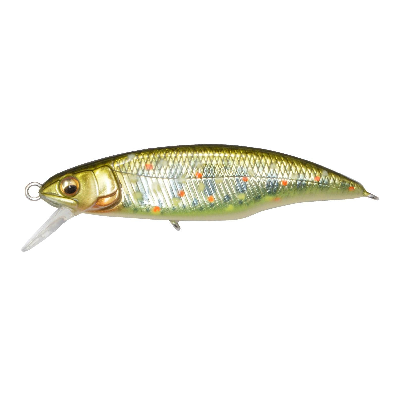 View of Crankbaits Megabass GH50 Flatside Crankbait Takumi Kawamasu Floating available at EZOKO Fishing