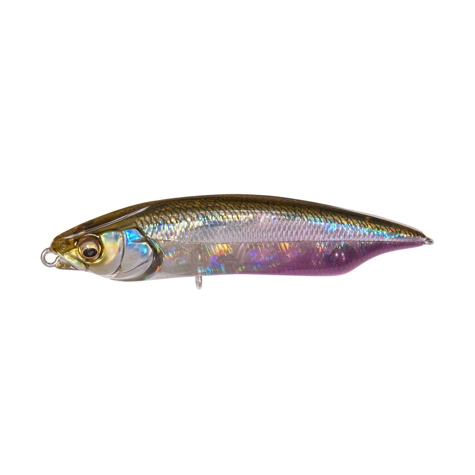 View of Topwater Megabass Karashi 80 HT Ito Wakasagi available at EZOKO Fishing