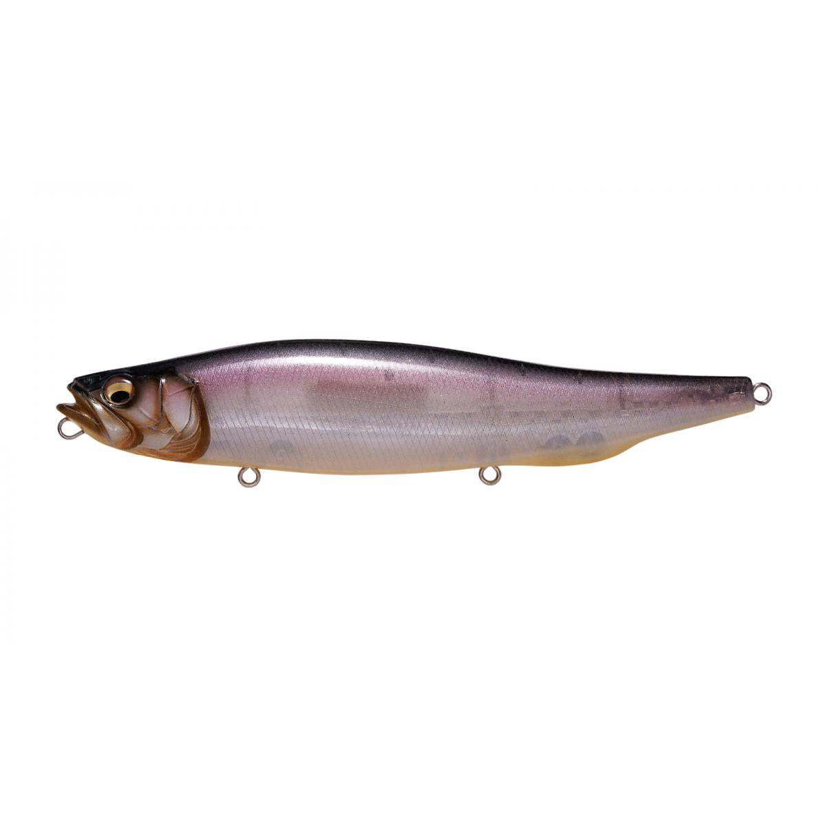 View of Topwater Megabass Megadog Topwater Shintaro Natural available at EZOKO Fishing