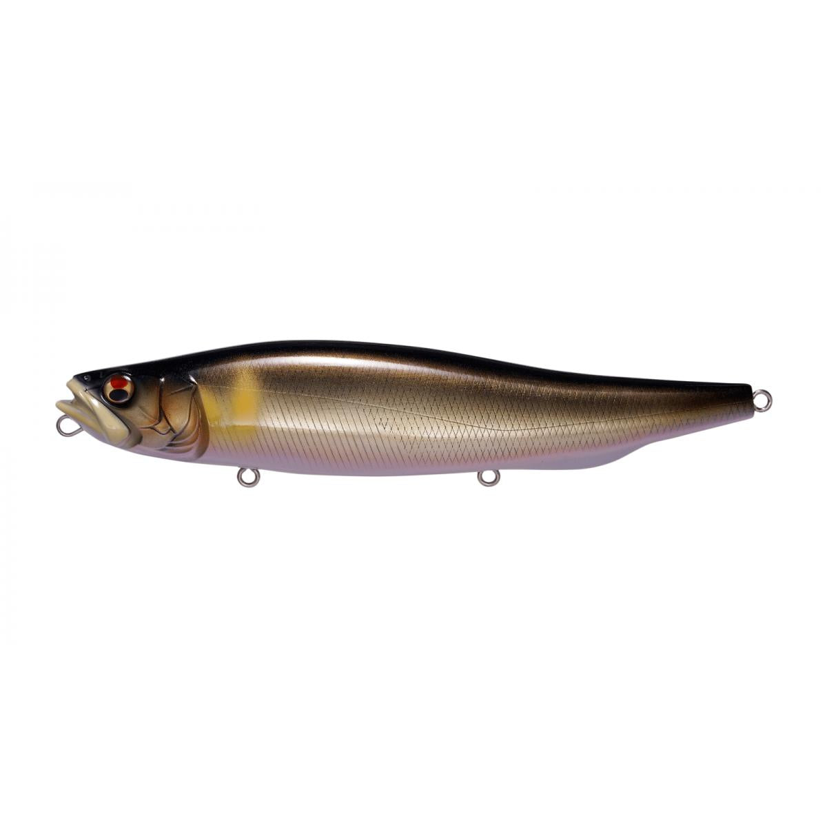 View of Topwater Megabass Megadog Topwater Wakin Ochi Ayu available at EZOKO Fishing
