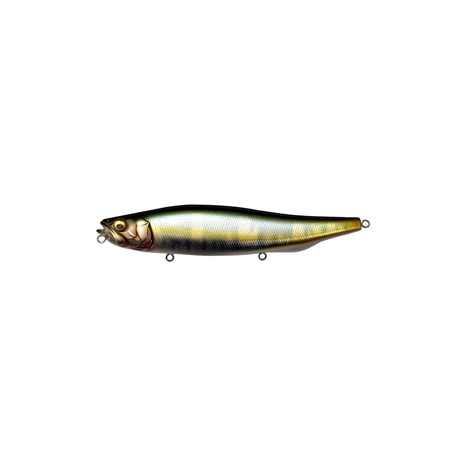 View of Topwater Megabass Megadog-X Topwater Wagin Hasu available at EZOKO Fishing