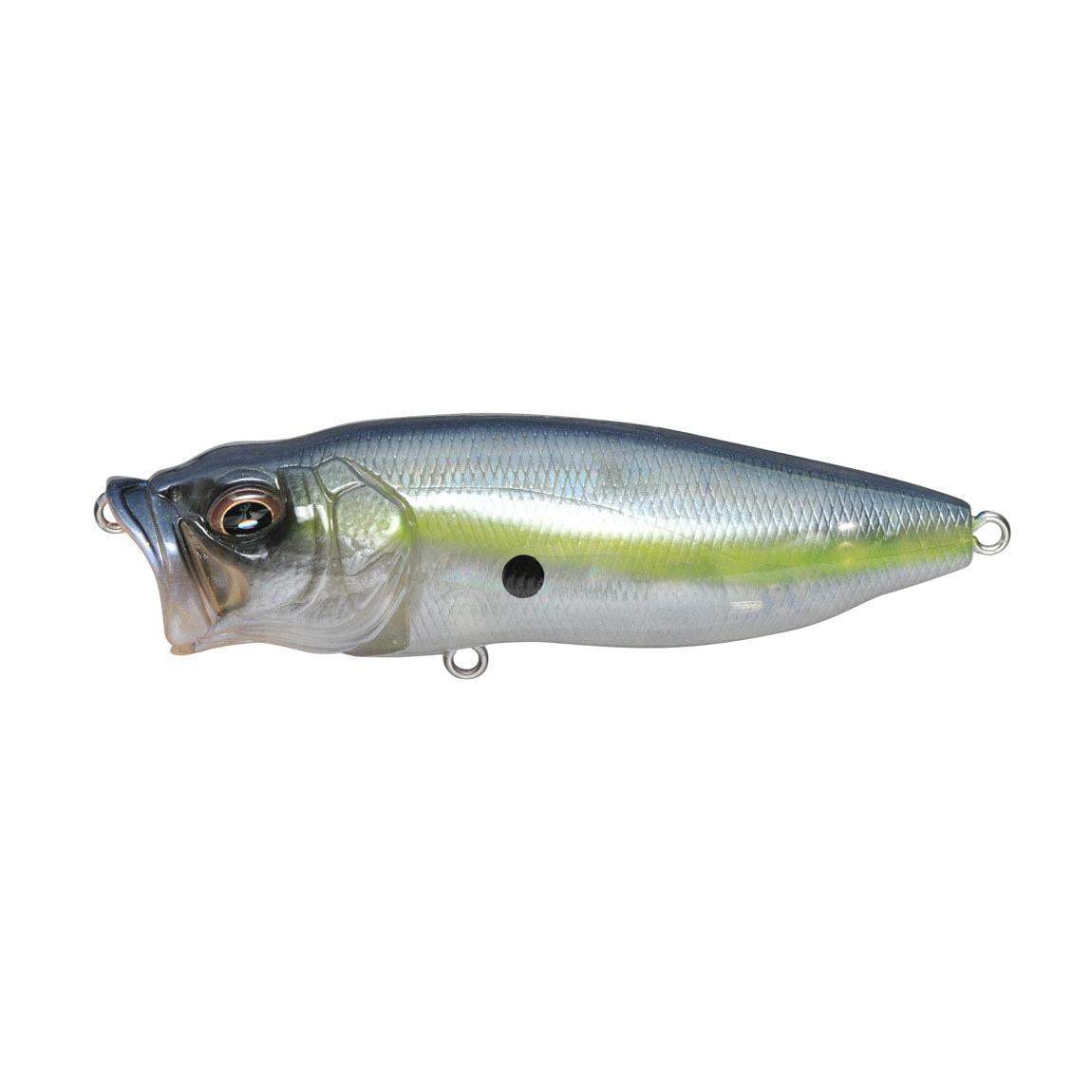View of Topwater Megabass Popmax Popper Gp Sexy Shad available at EZOKO Fishing