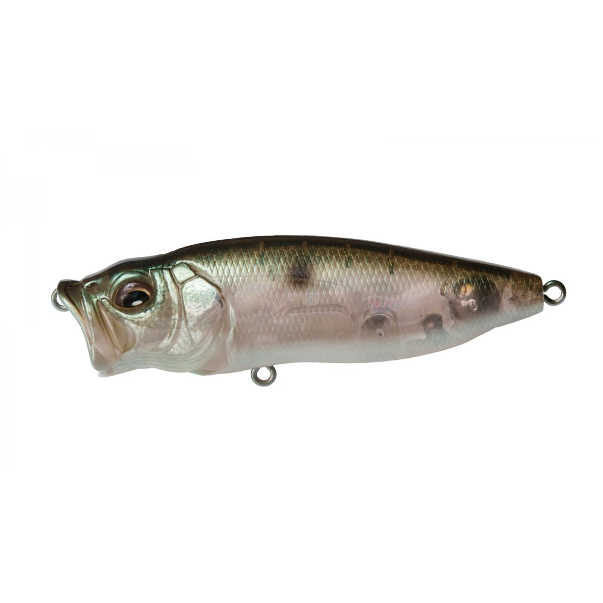 View of Topwater Megabass Popmax Popper Mb Gizzard available at EZOKO Fishing