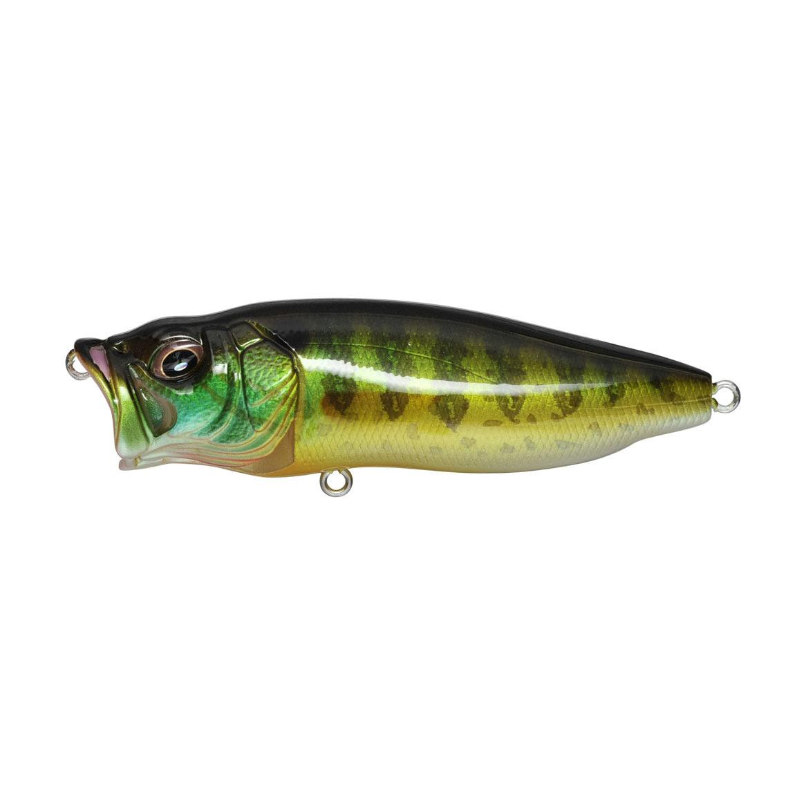 View of Topwater Megabass Popmax Popper Pumpkin Seed available at EZOKO Fishing