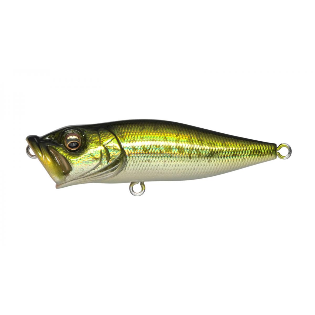 View of Topwater Megabass Popx Popper Popx Gg Bass available at EZOKO Fishing