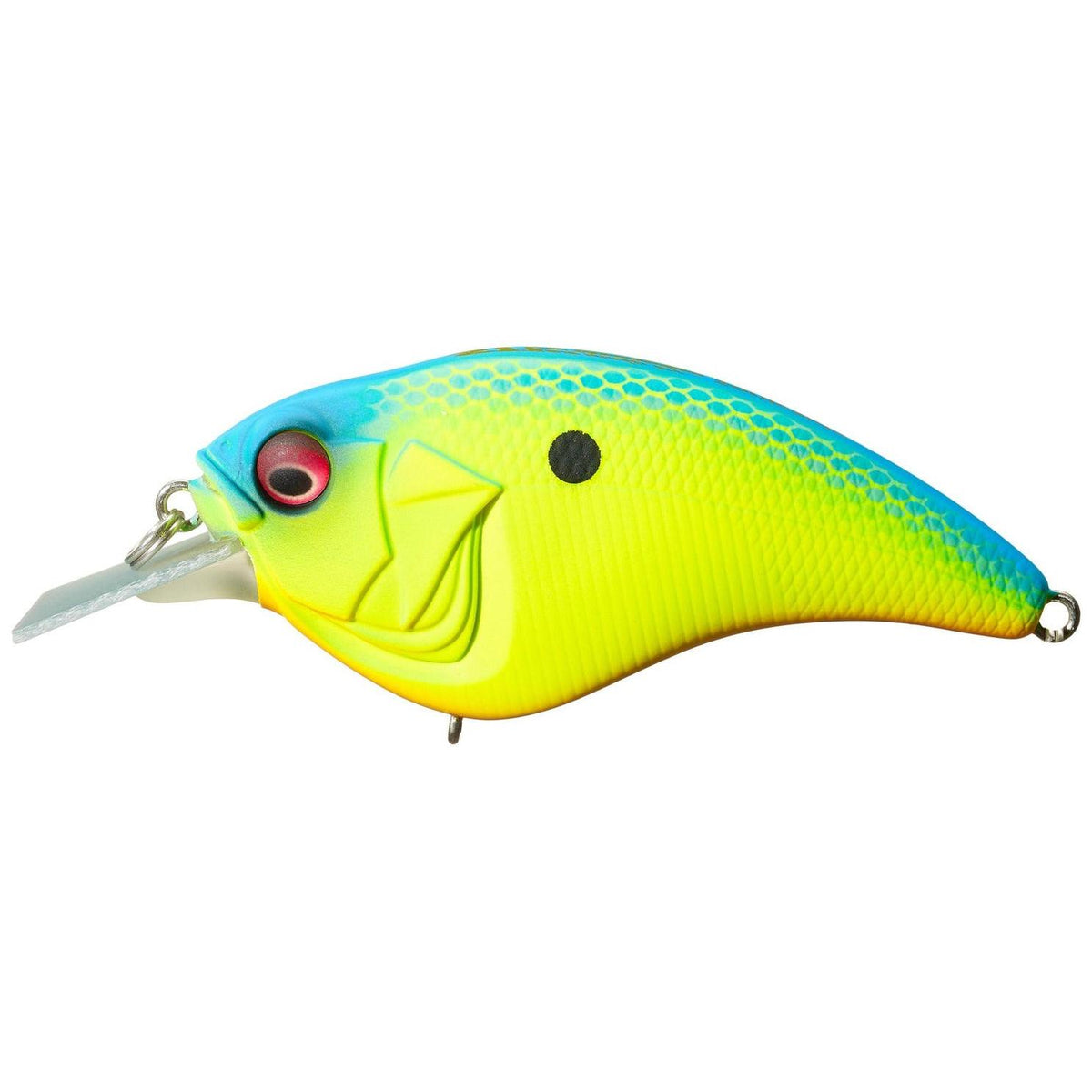 View of Crankbait Megabass Sonicside Crankbait Old-Z available at EZOKO Fishing