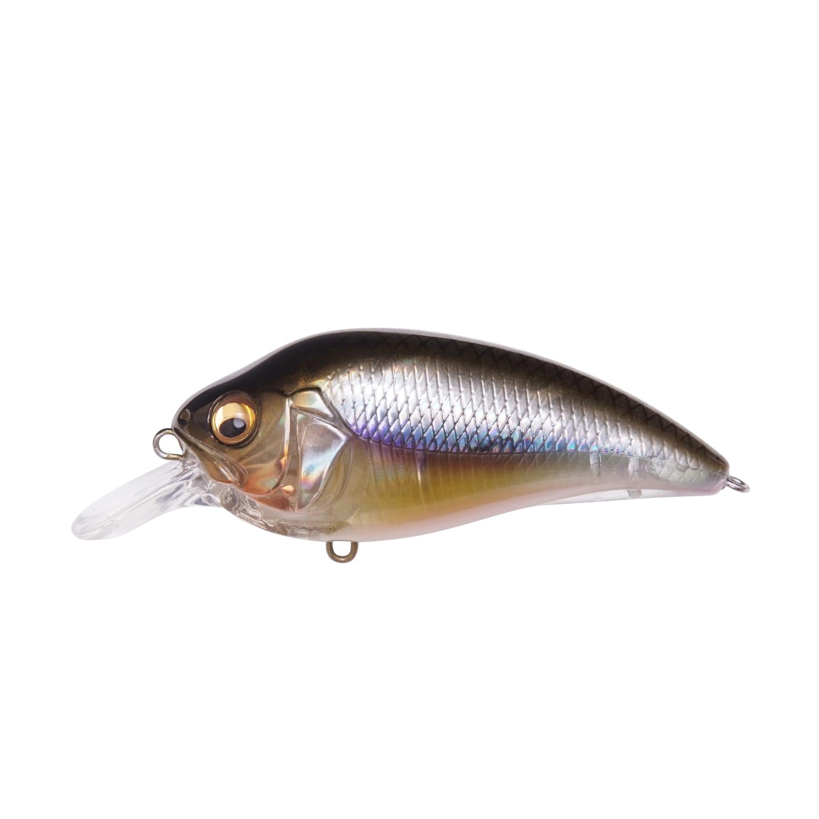 View of Crankbaits Megabass Super-Z Z1 Crankbait Kasumi Ito available at EZOKO Fishing
