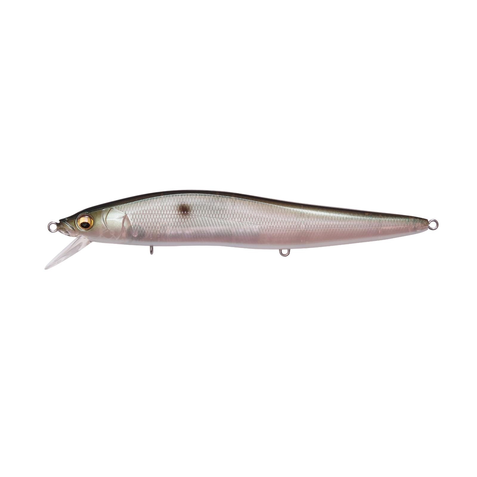 View of Jerkbait Megabass Vision Oneten Max Lbo Jerkbait Mb Gizzard available at EZOKO Fishing