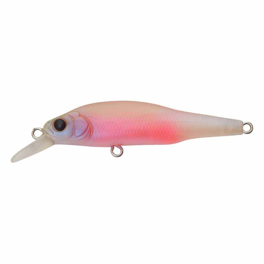 View of Jerkbait Megabass X-80 Jr. BFS Minnow Jerkbait Baby Kingyo available at EZOKO Fishing