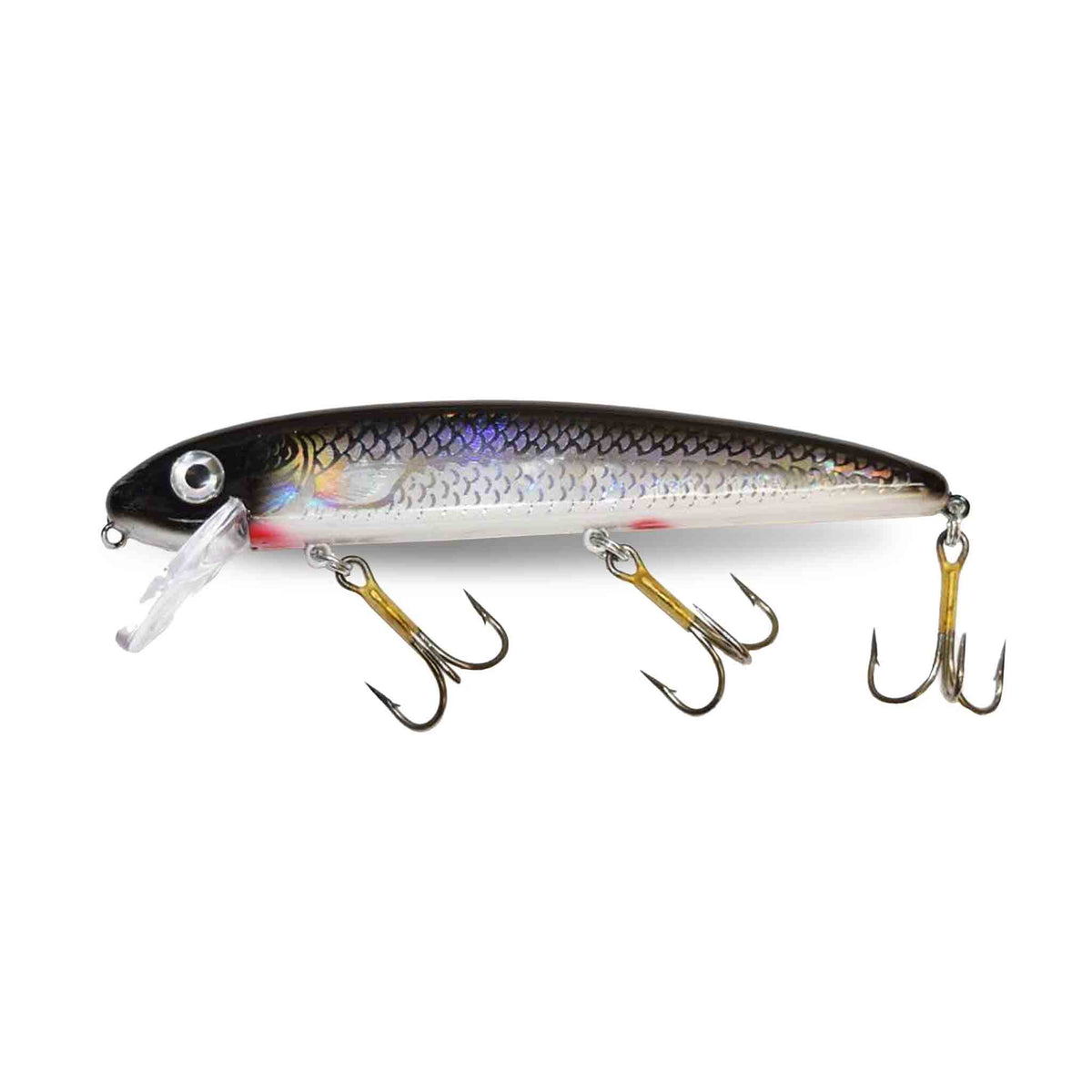 View of Crankbaits Musky Mania Tackle Jake 8'' Crankbait Silver Shiner Holoform available at EZOKO Pike and Musky Shop